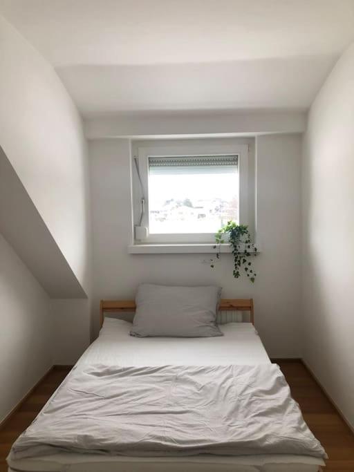Casa More Niederalm Eksteriør bilde